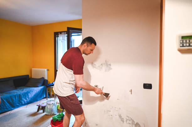Professional Mold Removal in Peculiar, MO